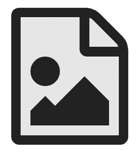 Flowers in the garden